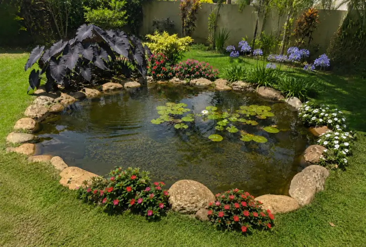 Lago pronto